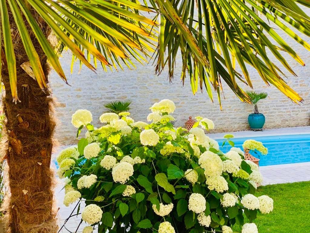 LE JARDIN Chambre de charme, piscine à Meursault Esterno foto