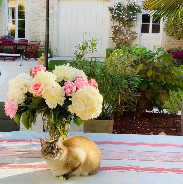 LE JARDIN Chambre de charme, piscine à Meursault Esterno foto